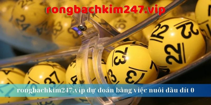 rongbachkim247.vip dự đoán bằng việc nuôi đầu đít 0
