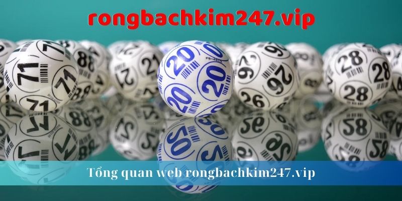 Tổng quan web rongbachkim247.vip